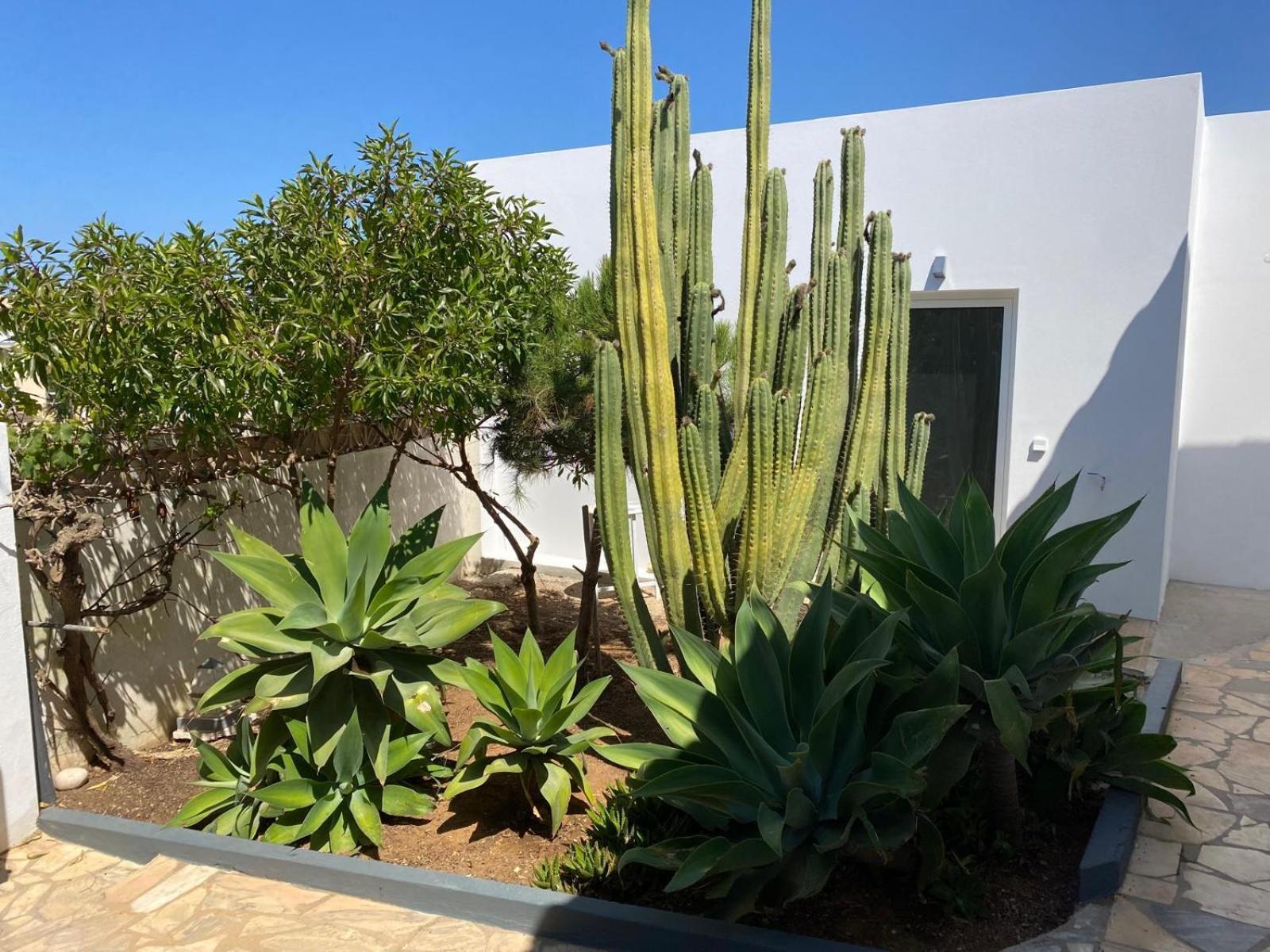 Casa La Isla